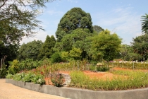 Малайзия-Сингапур. Ноябрь 2012г.