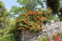 Малайзия-Сингапур. Ноябрь 2012г.