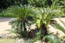 Малайзия-Сингапур. Ноябрь 2012г.