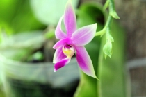 Малайзия-Сингапур. Ноябрь 2012г.