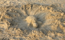 Мечты сбываются или небольшое путешествие: Паттайя-Ко-Чанг-Ко-Мак–Бангкок. Путевые заметки