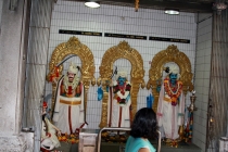 Малайзия-Сингапур. Ноябрь 2012г.