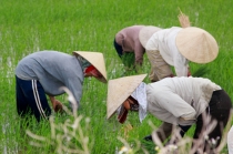 Вьетнам с Севера на Юг_2 часть_Фотоотчет_Хой Ан-Фукуок-Хошимин-Ханой