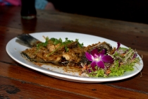 Мечты сбываются или небольшое путешествие: Паттайя-Ко-Чанг-Ко-Мак–Бангкок. Путевые заметки