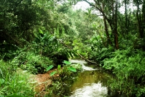 Вьетнам с Севера на Юг_2 часть_Фотоотчет_Хой Ан-Фукуок-Хошимин-Ханой