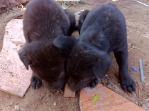 Вьетнам с Севера на Юг_2 часть_Фотоотчет_Хой Ан-Фукуок-Хошимин-Ханой