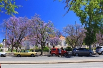 Грааф-Ренет