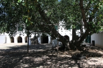 Дурбан и Грааф-Ренет, дом семьи Преториус