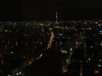 Токио 31.12.2012