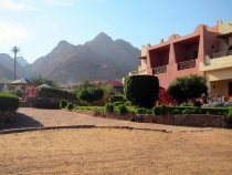 Дахаб, НГ 2013