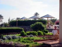 Дахаб, НГ 2013