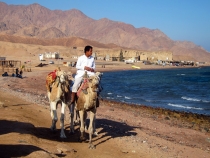 Дахаб, НГ 2013