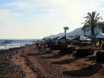 Дахаб, НГ 2013