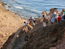 Дахаб, НГ 2013