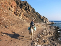 Дахаб, НГ 2013