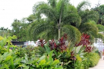 Малайзия-Сингапур. Ноябрь 2012г.