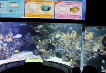 Малайзия-Сингапур. Ноябрь 2012г.