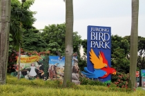 Малайзия-Сингапур. Ноябрь 2012г.