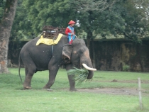 мало и много Вьетнама&Сиануквиль (ХШМ-Ханой-Халонг-Хой Ан)