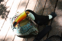 Рио-Игуасу ноябрь 2012