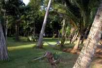 Мечты сбываются или небольшое путешествие: Паттайя-Ко-Чанг-Ко-Мак–Бангкок. Путевые заметки