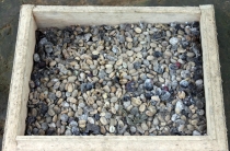 Куала-Лумпур - Флорес - Бали - Бангкок