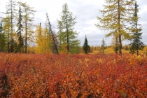 Путеводитель по Салехарду, фото Салехарда