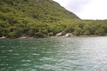 Аргентинская Патагония и немного Мар Дель Платы. Лето 12-13. Аргентинская Патагония и немного Мар Дель Платы. Лето 12-13.