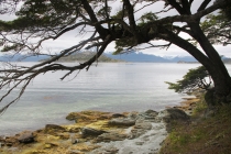 Аргентинская Патагония и немного Мар Дель Платы. Лето 12-13.