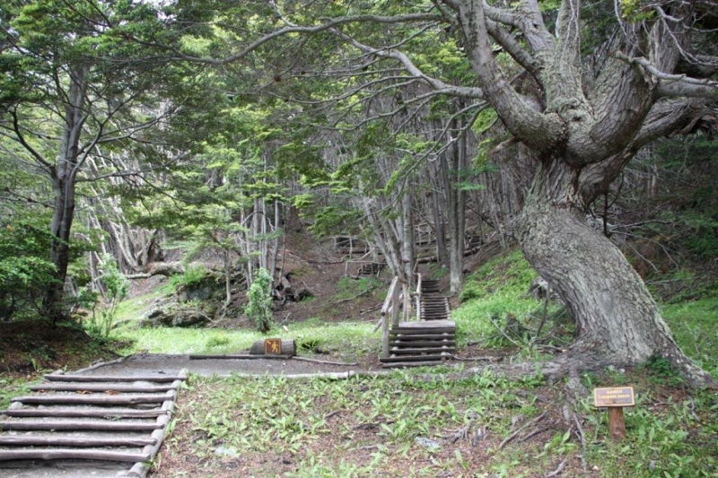 Аргентинская Патагония и немного Мар Дель Платы. Лето 12-13.