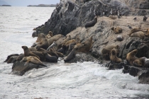 Аргентинская Патагония и немного Мар Дель Платы. Лето 12-13.