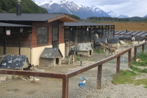 Аргентинская Патагония и немного Мар Дель Платы. Лето 12-13.