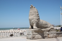 Аргентинская Патагония и немного Мар Дель Платы. Лето 12-13.