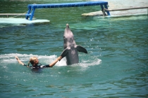 Аргентинская Патагония и немного Мар Дель Платы. Лето 12-13.