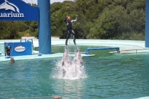 Аргентинская Патагония и немного Мар Дель Платы. Лето 12-13.