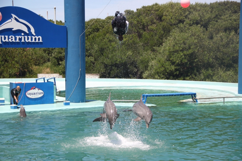 Аргентинская Патагония и немного Мар Дель Платы. Лето 12-13.