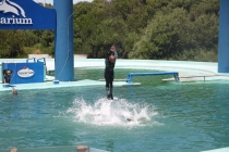 Аргентинская Патагония и немного Мар Дель Платы. Лето 12-13.