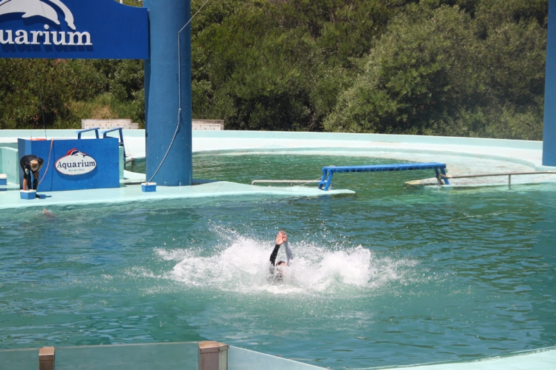 Аргентинская Патагония и немного Мар Дель Платы. Лето 12-13.