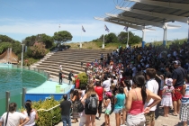 Аргентинская Патагония и немного Мар Дель Платы. Лето 12-13.