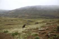 Аргентинская Патагония и немного Мар Дель Платы. Лето 12-13. Аргентинская Патагония и немного Мар Дель Платы. Лето 12-13.