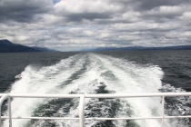 Аргентинская Патагония и немного Мар Дель Платы. Лето 12-13.