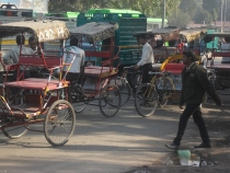 Индия. Дели и Варанаси.