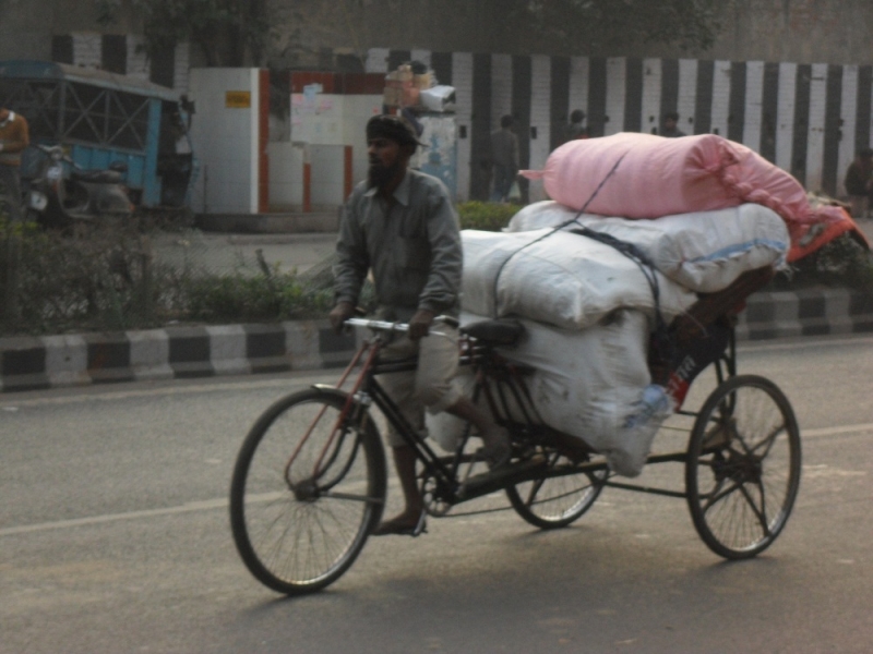 Индия. Дели и Варанаси.