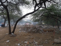 Индия. Дели и Варанаси.