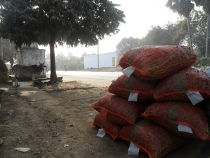 Индия. Дели и Варанаси.