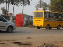 Индия. Дели и Варанаси.