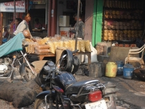 Индия. Дели и Варанаси.