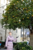 Токио на НГ (мало что поняли но кайфово)