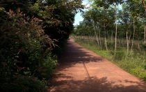 Мечты сбываются или небольшое путешествие: Паттайя-Ко-Чанг-Ко-Мак–Бангкок. Путевые заметки