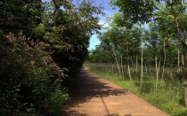 Мечты сбываются или небольшое путешествие: Паттайя-Ко-Чанг-Ко-Мак–Бангкок. Путевые заметки